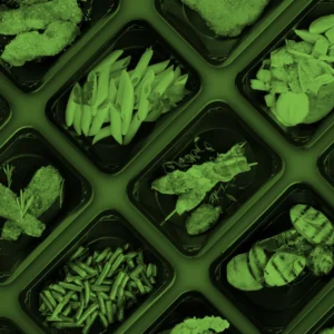 Fit Fuel Meal Bundles